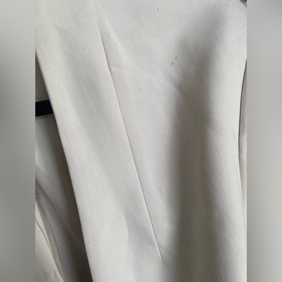 Aritzia Babaton New Power Blazer in Matte Pearl - Picture 6 of 11